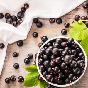 Acai Berries & Satin Fragrance Oil 
