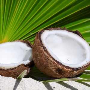 Coconut Lip Balm 