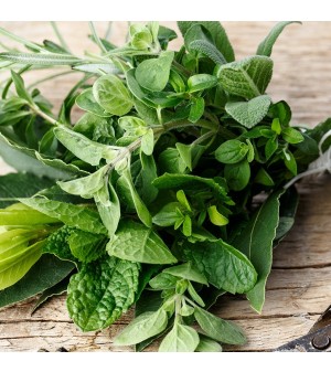 Green Herbal Fragrance Oil