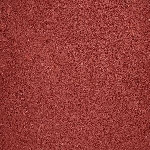 Beet Root Powder