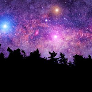 Beneath the Stars Fragrance Oil
