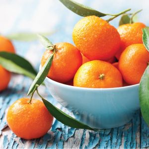 Bergamot & Mandarin Fragrance Oil