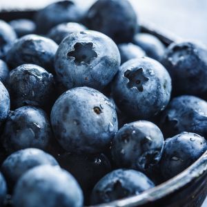 Blueberry Fragrance Oil