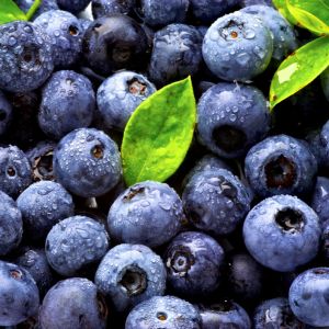 Blueberry Flavour Oil
