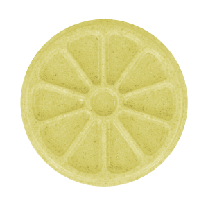 Citrus Slice Soap Mold (Milky Way)