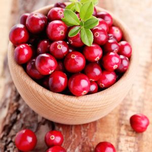 Cranberry Fragrance Oil