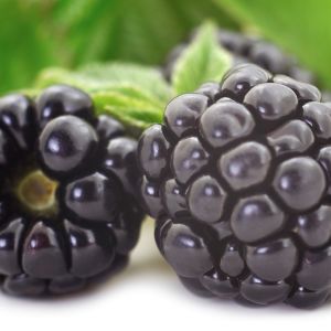 Dewberry Fragrance Oil