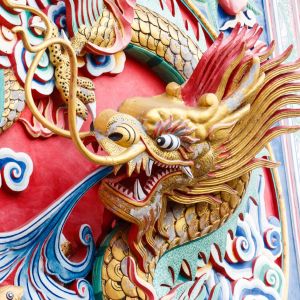 Dragon's Blood Fragrance Oil