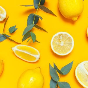 Eucalyptus Lemon Essential Oil