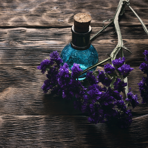 Essence of Nightshade Fragrance Oil