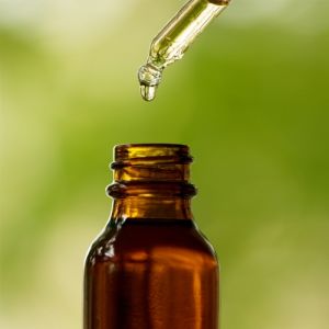 Elemi Essential Oil