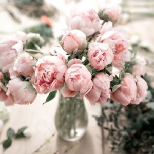 Evelyn Rose* Fragrance Oil