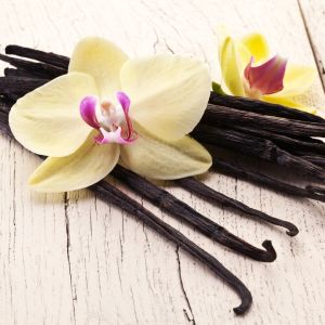 Fresh Vanilla Fragrance Oil