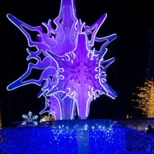 Ice Festival Fragrance Oil