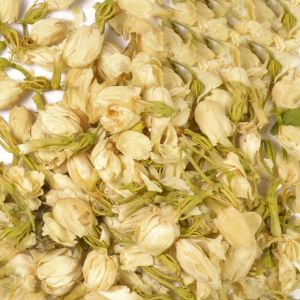 Jasmine Flowers