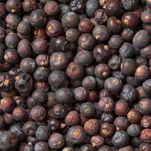 Juniper Berries (Blue) 