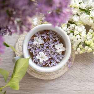 Lilac Infusion Fragrance Oil
