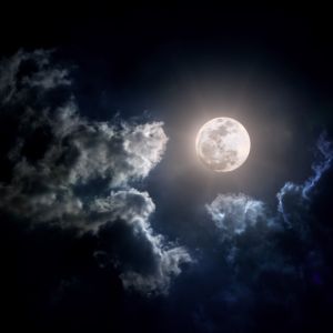 Lycan It Fragrance Oil