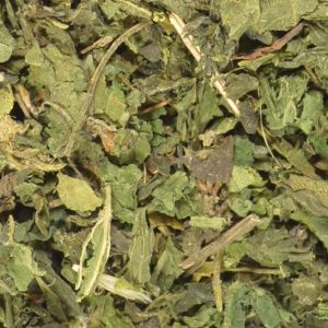 Nettle Leaf 