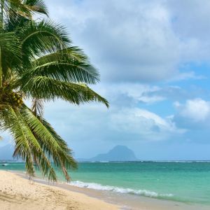 Ocean Breeze Fragrance Oil