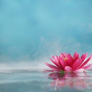 Ozonic Fragrance Oil