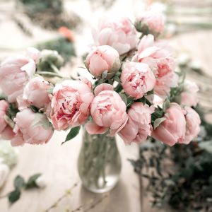 Peony Fragrance Oil