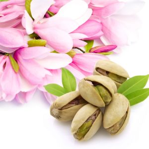 Pistachio & Magnolia Fragrance Oil