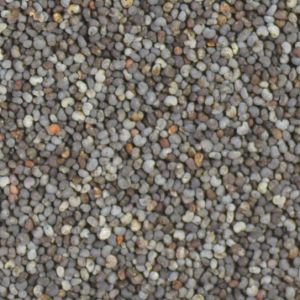 Poppy Seeds