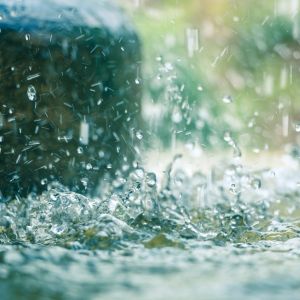 Rain Fragrance Oil