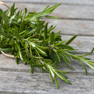 Rosemary Essential Oil 