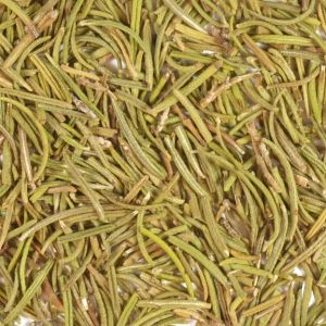 Rosemary Leaf