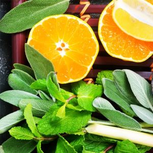 Sage & Citrus Type Fragrance Oil