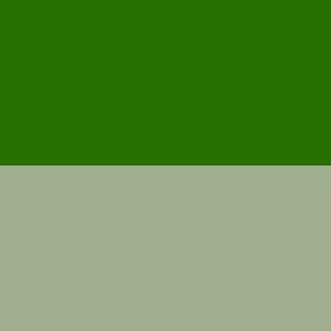 Sage/Eucalyptus Liquid Colour For Candles