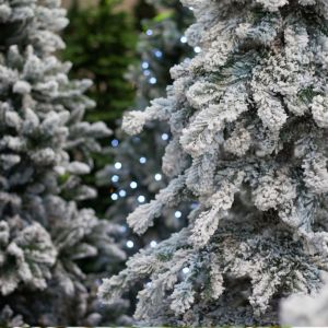 Santa's Tree Farm Fragrance Oil