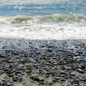 Sea Minerals & Oud Fragrance Oil