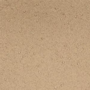 Soapwort Root Powder