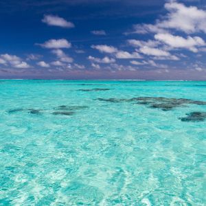 South Pacific Waters Fragrance Oil