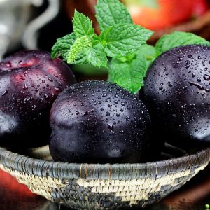 Sparkling Plum Fragrance Oil