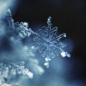 Sparkling Snowflake Fragrance Oil