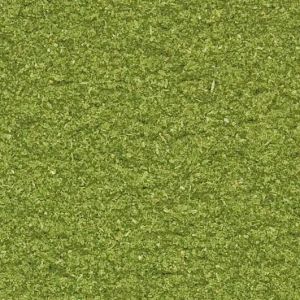 Spinach Powder