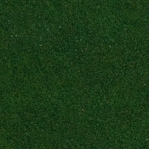 Spirulina Powder