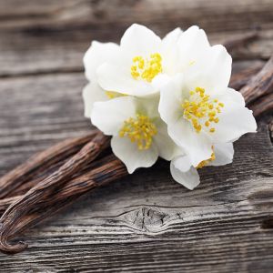 Vanilla Oak Fragrance Oil