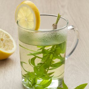 Verbena & Lemon Fragrance Oil