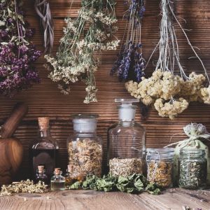 Witch's Apothecary Fragrance Oil