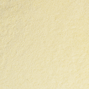 Xanthan Gum 