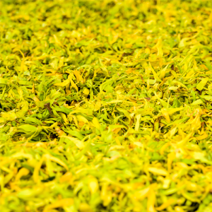 Ylang Ylang lll Essential Oil