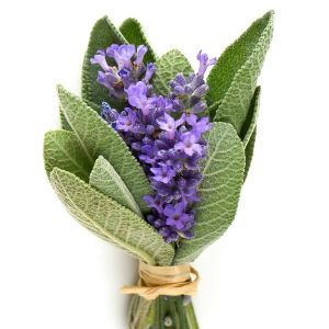 Lavender Sage* Fragrance Oil